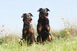 BEAUCERON 114